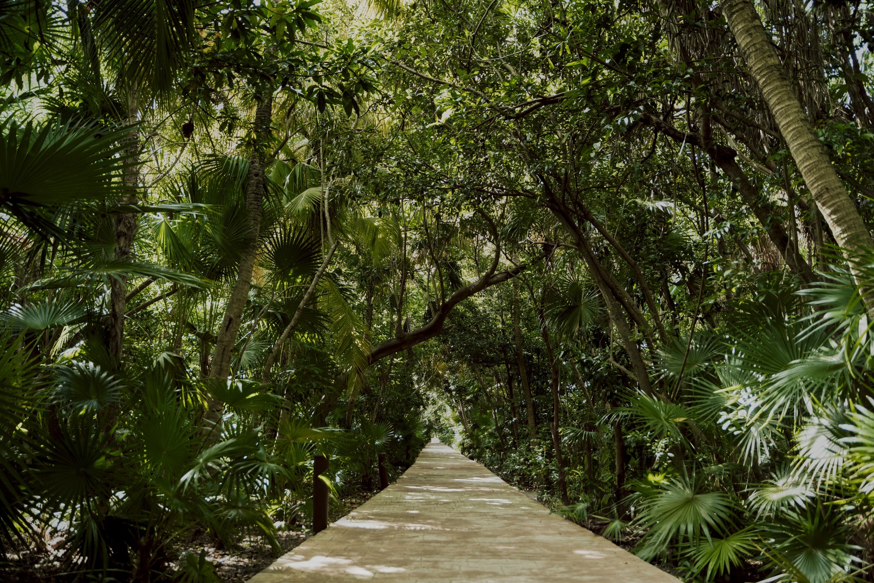 Catalonia Playa Maroma